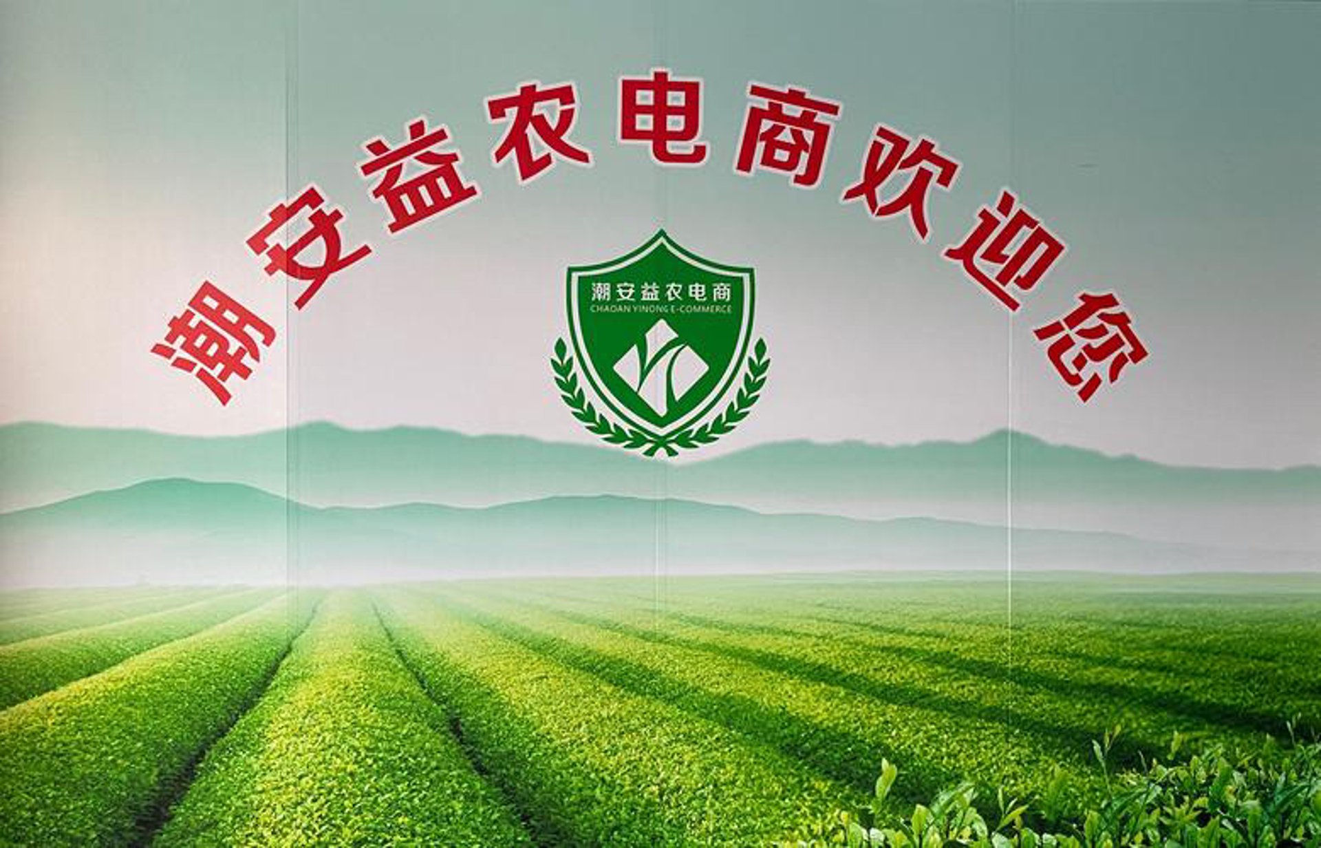 多快好省电子商务